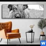 Spannbild Rind Im Hochland Panorama Produktvorschau mit dem Bild Rind im Hochland im Format Panorama.