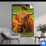 Spannbild Rind In Den Schottischen Highlands Hochformat Produktvorschau mit dem Bild Rind in den schottischen Highlands im Format Hochformat.