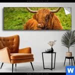 Spannbild Rind In Den Schottischen Highlands Panorama Produktvorschau mit dem Bild Rind in den schottischen Highlands im Format Panorama.