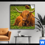 Spannbild Rind In Den Schottischen Highlands Quadrat Produktvorschau mit dem Bild Rind in den schottischen Highlands im Format Quadrat.