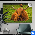 Spannbild Rind In Den Schottischen Highlands Querformat Produktvorschau mit dem Bild Rind in den schottischen Highlands im Format Querformat.