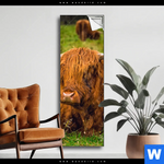 Spannbild Rind In Den Schottischen Highlands Schmal Produktvorschau mit dem Bild Rind in den schottischen Highlands im Format Schmal.