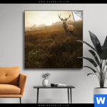 Spannbild Rothirsch Im Nebel Quadrat Produktvorschau mit dem Bild Rothirsch im Nebel im Format Quadrat.