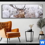Spannbild Rothirsch Im Winter Panorama Produktvorschau mit dem Bild Rothirsch im Winter im Format Panorama.