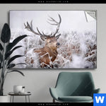 Spannbild Rothirsch Im Winter Querformat Produktvorschau mit dem Bild Rothirsch im Winter im Format Querformat.