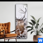 Spannbild Rothirsch Im Winter Schmal Produktvorschau mit dem Bild Rothirsch im Winter im Format Schmal.