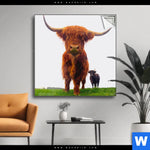 Spannbild Schottisches Hochlandrind Quadrat Produktvorschau mit dem Bild Schottisches Hochlandrind im Format Quadrat.