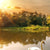 Spannbild | Schwan im Teich | Panorama