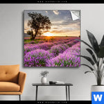 Spannbild Sonnenaufgang Im Lavendelfeld Quadrat Produktvorschau mit dem Bild Sonnenaufgang im Lavendelfeld im Format Quadrat.