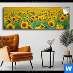 Spannbild Sonnenblumenfeld Panorama Produktvorschau mit dem Bild Sonnenblumenfeld im Format Panorama.