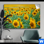 Spannbild Sonnenblumenfeld Querformat Produktvorschau mit dem Bild Sonnenblumenfeld im Format Querformat.