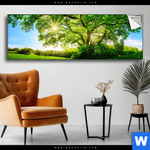 Spannbild Sonnendurchfluteter Baum Panorama Produktvorschau mit dem Bild Sonnendurchfluteter Baum im Format Panorama.