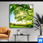 Spannbild Sonnendurchfluteter Baum Quadrat Produktvorschau mit dem Bild Sonnendurchfluteter Baum im Format Quadrat.