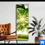 Spannbild Sonnendurchfluteter Baum Schmal Produktvorschau mit dem Bild Sonnendurchfluteter Baum im Format Schmal.