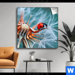 Spannbild Sonnenkaefer Auf Pusteblume Quadrat Produktvorschau mit dem Bild Sonnenkäfer auf Pusteblume im Format Quadrat.