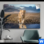 Spannbild Spiegelbild Loewe Loewenjunges Querformat Produktvorschau mit dem Bild Spiegelbild Löwe & Löwenjunges im Format Querformat.