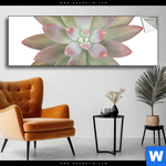 Spannbild Sukkulente No 1 Panorama Produktvorschau mit dem Bild Sukkulente No.1 im Format Panorama.