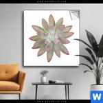 Spannbild Sukkulente No 1 Quadrat Produktvorschau mit dem Bild Sukkulente No.1 im Format Quadrat.