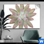 Spannbild Sukkulente No 1 Querformat Produktvorschau mit dem Bild Sukkulente No.1 im Format Querformat.