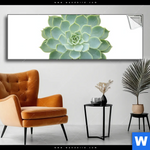 Spannbild Sukkulente No 2 Panorama Produktvorschau mit dem Bild Sukkulente No.2 im Format Panorama.