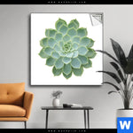 Spannbild Sukkulente No 2 Quadrat Produktvorschau mit dem Bild Sukkulente No.2 im Format Quadrat.