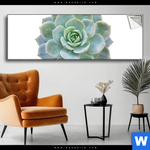 Spannbild Sukkulente No 3 Panorama Produktvorschau mit dem Bild Sukkulente No.3 im Format Panorama.