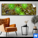 Spannbild Tautropfen Auf Moos Panorama Produktvorschau mit dem Bild Tautropfen auf Moos im Format Panorama.