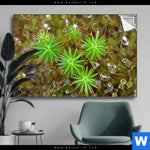 Spannbild Tautropfen Auf Moos Querformat Produktvorschau mit dem Bild Tautropfen auf Moos im Format Querformat.