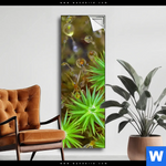 Spannbild Tautropfen Auf Moos Schmal Produktvorschau mit dem Bild Tautropfen auf Moos im Format Schmal.