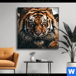 Spannbild Tiger Im Wasser Quadrat Produktvorschau mit dem Bild Tiger im Wasser im Format Quadrat.