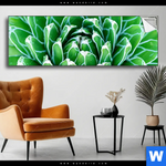 Spannbild Tropische Pflanze Panorama Produktvorschau mit dem Bild Tropische Pflanze im Format Panorama.