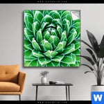 Spannbild Tropische Pflanze Quadrat Produktvorschau mit dem Bild Tropische Pflanze im Format Quadrat.