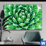 Spannbild Tropische Pflanze Querformat Produktvorschau mit dem Bild Tropische Pflanze im Format Querformat.