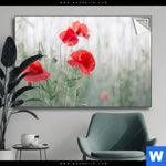 Spannbild Vintage Klatschmohn Querformat Produktvorschau mit dem Bild Vintage Klatschmohn im Format Querformat.
