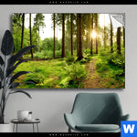 Spannbild Wald Mit Sonnenstrahlen No 2 Querformat Produktvorschau mit dem Bild Wald mit Sonnenstrahlen No.2 im Format Querformat.
