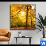 Spannbild Waldlandschaft Im Herbst Quadrat Produktvorschau mit dem Bild Waldlandschaft im Herbst im Format Quadrat.