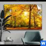 Spannbild Waldlandschaft Im Herbst Querformat Produktvorschau mit dem Bild Waldlandschaft im Herbst im Format Querformat.