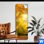 Spannbild Waldlandschaft Im Herbst Schmal Produktvorschau mit dem Bild Waldlandschaft im Herbst im Format Schmal.