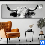 Spannbild Weisser Bulle Panorama Produktvorschau mit dem Bild Weisser Bulle im Format Panorama.