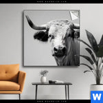 Spannbild Weisser Bulle Quadrat Produktvorschau mit dem Bild Weisser Bulle im Format Quadrat.