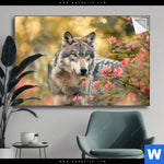 Spannbild Wolfsblick Im Fruehling Querformat Produktvorschau mit dem Bild Wolfsblick im Frühling im Format Querformat.