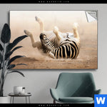 Spannbild Zebra Staub Querformat Produktvorschau mit dem Bild Zebra & Staub im Format Querformat.