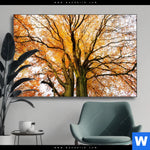 Wechselmotiv Alte Buche Querformat Produktvorschau mit dem Bild Alte Buche im Format Querformat.