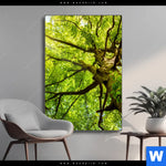 Wechselmotiv Baumkrone Einer Buche Hochformat Produktvorschau mit dem Bild Baumkrone einer Buche im Format Hochformat.