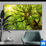 Wechselmotiv Baumkrone Einer Buche Querformat Produktvorschau mit dem Bild Baumkrone einer Buche im Format Querformat.