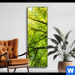 Wechselmotiv Baumkrone Einer Buche Schmal Produktvorschau mit dem Bild Baumkrone einer Buche im Format Schmal.