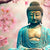 Wechselmotiv | Buddha Statue mit Kirschblüten | Quadrat