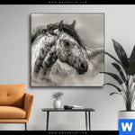 Wechselmotiv Das Pferd Wild Schoen Quadrat Produktvorschau mit dem Bild Das Pferd - wild & schön im Format Quadrat.