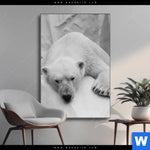 Wechselmotiv Der Eisbaer Hochformat Produktvorschau mit dem Bild Der Eisbär im Format Hochformat.