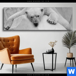 Wechselmotiv Der Eisbaer Panorama Produktvorschau mit dem Bild Der Eisbär im Format Panorama.